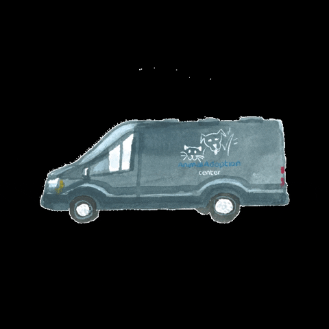 Animal Adoption Center Jackson Hole GIF