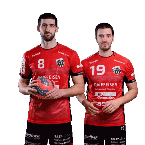 Pfadi Winterthur Handball Sticker