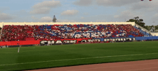 Ultrasshark07 GIF