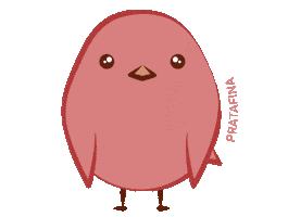 Fina Aliancas Sticker by Pratafina