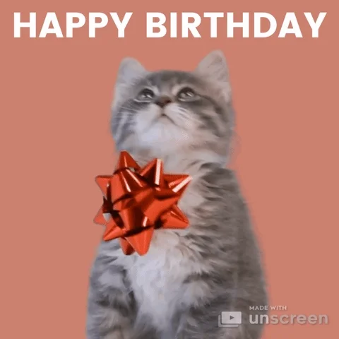 Happy Birthday Cats GIF by Unscreen