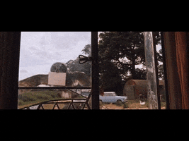 Stupid GIF