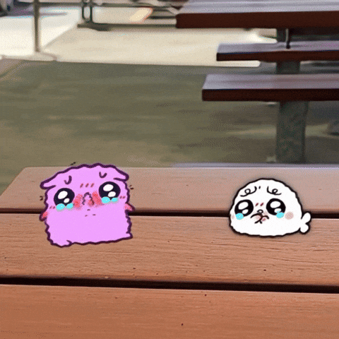 Cat Kitty GIF