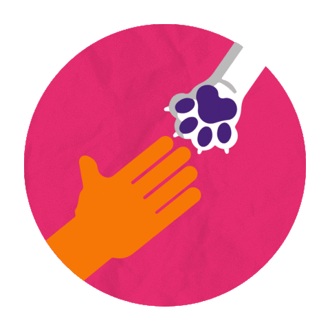 Pet Sticker