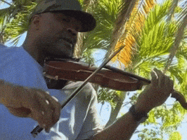 Black Violin GIF