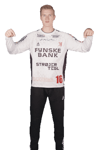 Celebration Handball Sticker by GOG Sport