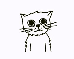 Cat GIF