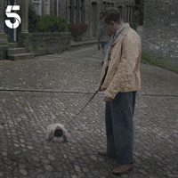 200.gif?cid=fc005b082b67e5c17f08573649f0425f88ea3715c0162928&rid=200.gif&ct=g