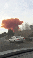 200.gif?cid=fc005b08524e5d0d2c2223c74b3e80f424449b0b766ba5ab&rid=200.gif&ct=g