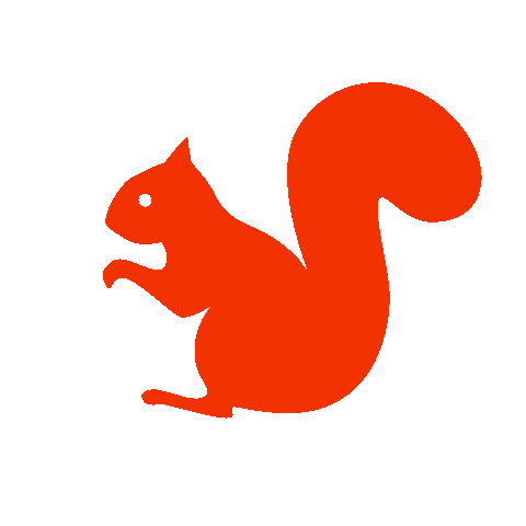 Red Squirrel Sticker by Universal Music MY