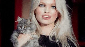 Image result for blonde model cats