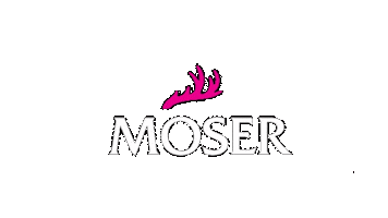 Dirndl Moser Sticker by Moser_Trachten