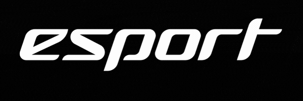 Esport GIF