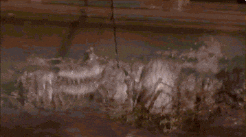 struggling troy landry GIF by Swamp People