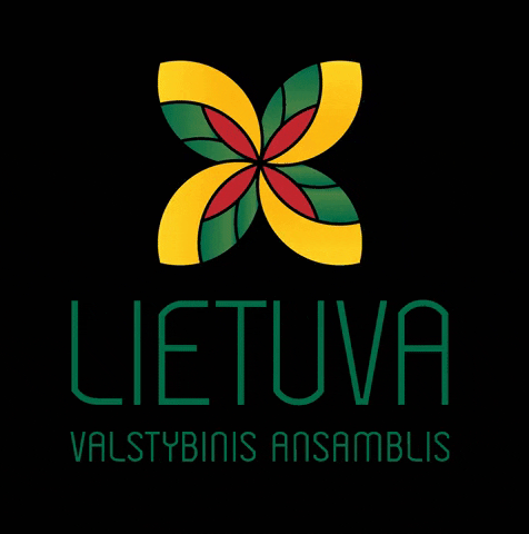 Gele Veliava GIF by Ansamblis „Lietuva“