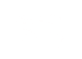 Black Friday Shopping Sticker by Tailored Paros