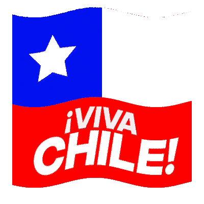 Viva Chile Sticker