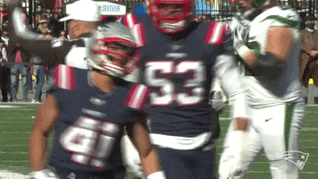 Celebrate Lets Go GIF by New England Patriots
