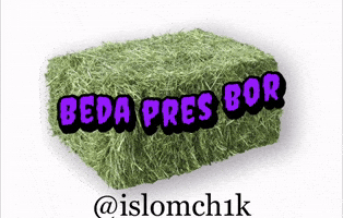 Beda Pres Bor GIF