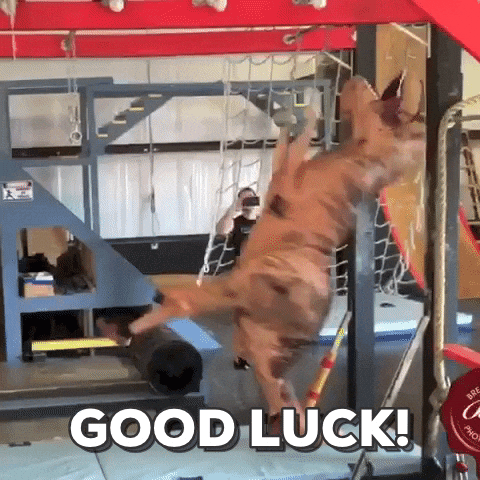Best Wishes Good Luck GIF