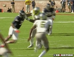 michigan football GIF