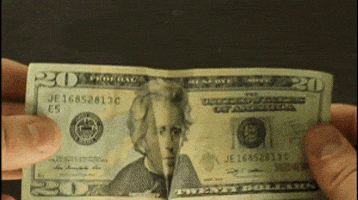 andrew jackson smiling GIF