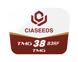 Tmg Sticker by Ciaseeds