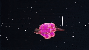 Finish Him Knock Out GIF by Motoko World