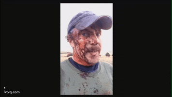 georgemills-9cd1 bear GIF