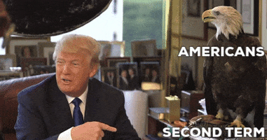 Donald Trump GIF
