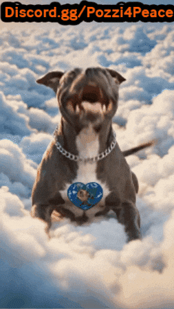 GIF by Pozzi4Peace