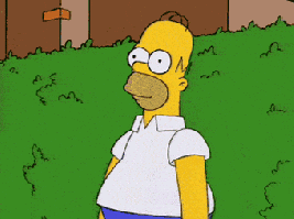 giphy.gif?cid=ecf05e47g6w2bgpa4z9u89ff3o4w1ckxd3jg4uabiayw2f2m&rid=giphy.gif