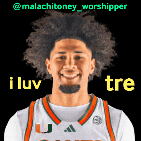 Basketball Miami GIF