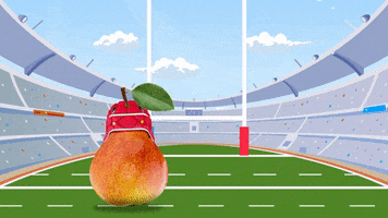 World Cup Goal GIF by Socamil