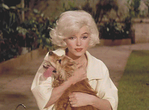 Marilyn Monroe Smile Find And Share On Giphy