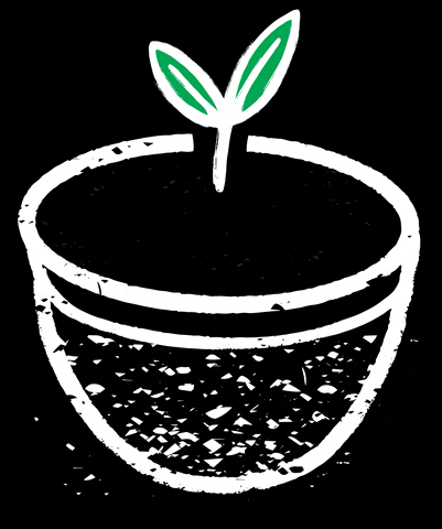 SFBC GIF