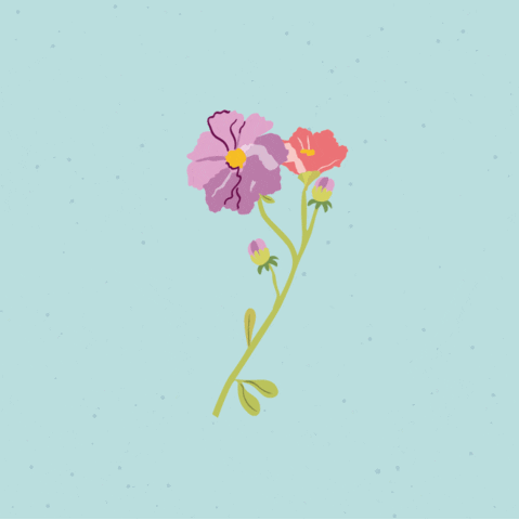 Flower GIF by The Brand New Studio
