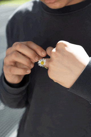 Art Love GIF