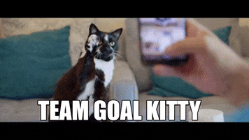 GrayHatLLC catdad catdaddies catdaddiesmovie goalkitty GIF
