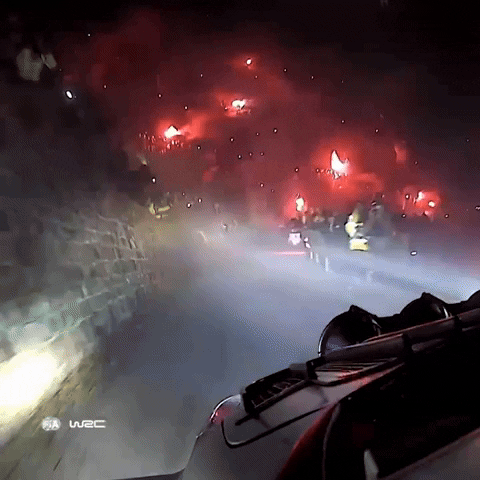 Fans Fireworks GIF by FIA World Rally Championship
