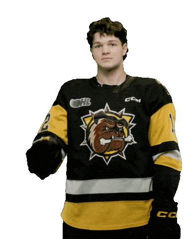 Brantford Bulldogs Sticker