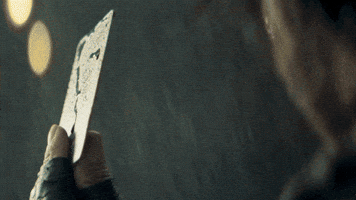 King Shahrukh GIF by Red Chillies Entertainment