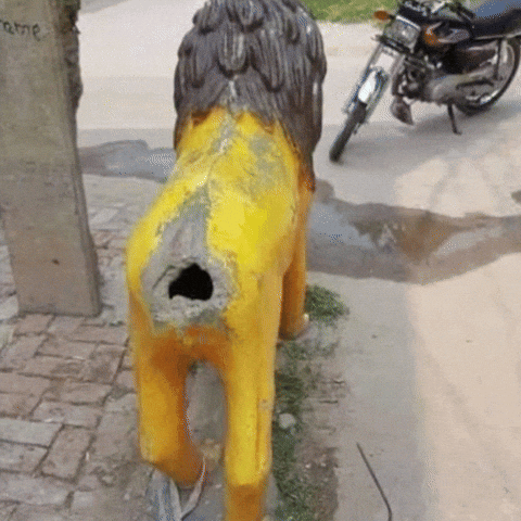 Virat Kohli Cricket GIF