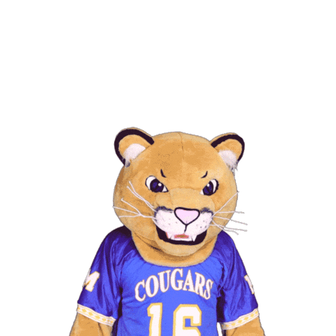 Misericordia University Sticker