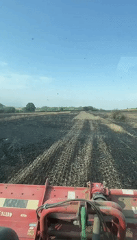 Farmer Assesses Damage to Land Following Fire Amid Record-Breaking Heat