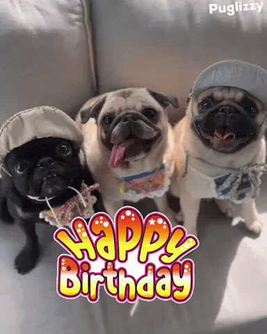 Birthday Card GIF