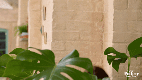 Spying Ellie Taylor GIF by The Great Pottery Throw Down - Find & Share on GIPHY