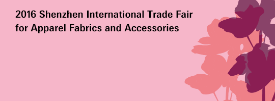 calvin klein collection