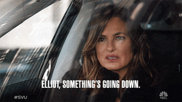 Special Victims Unit Episode 13 GIF by Law & Order