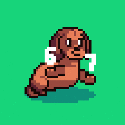 Sixtyseven GIF by HotDogs